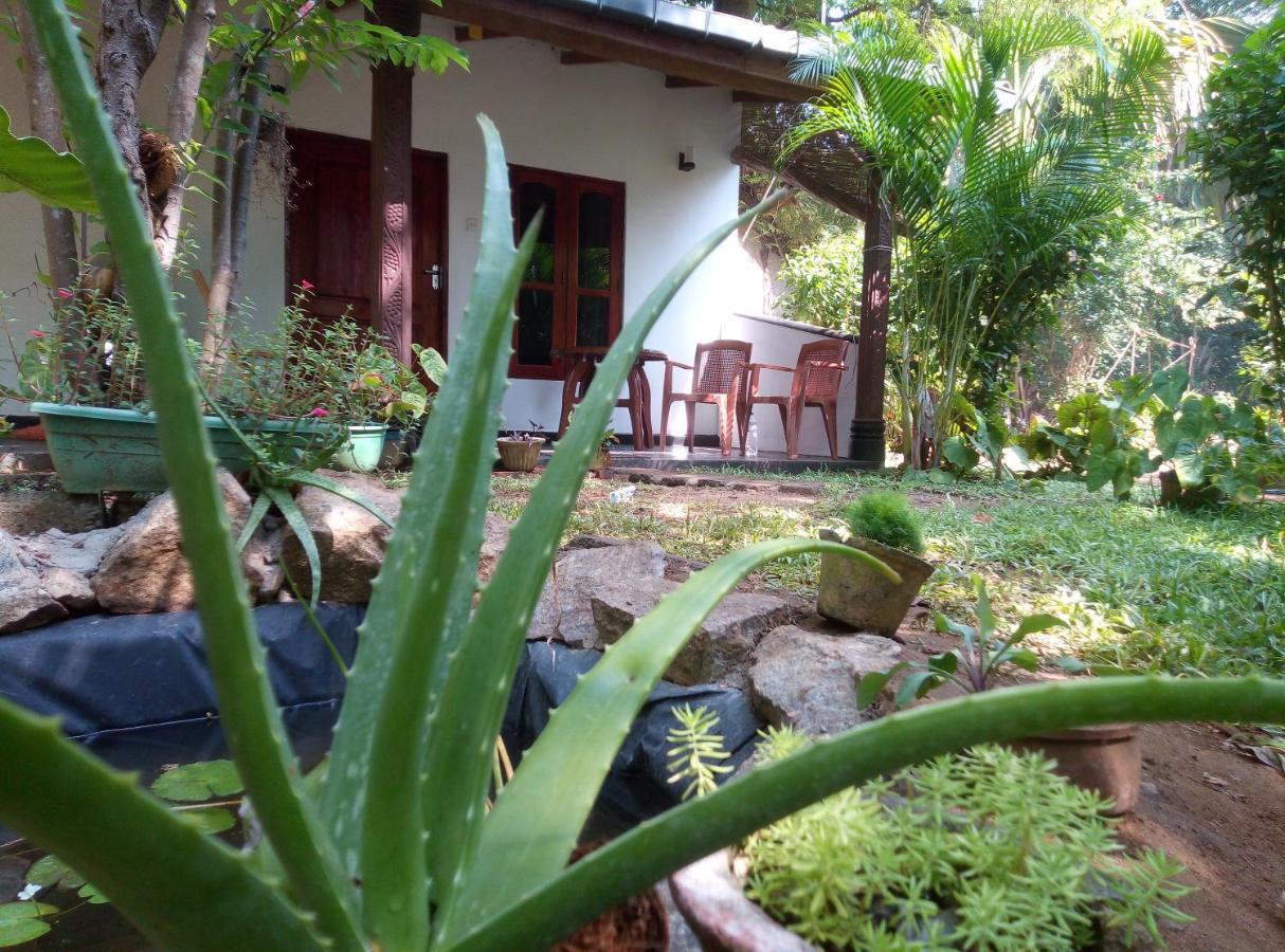 Charly'S Lodge Sigiriya Buitenkant foto